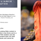 Image for article titled Porn Sites Blame Mastercard for Crackdown on Non-Human Dildos
